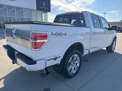 2009 Ford F-150 Platinum