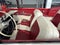 1955 Ford Fairlane Sunliner